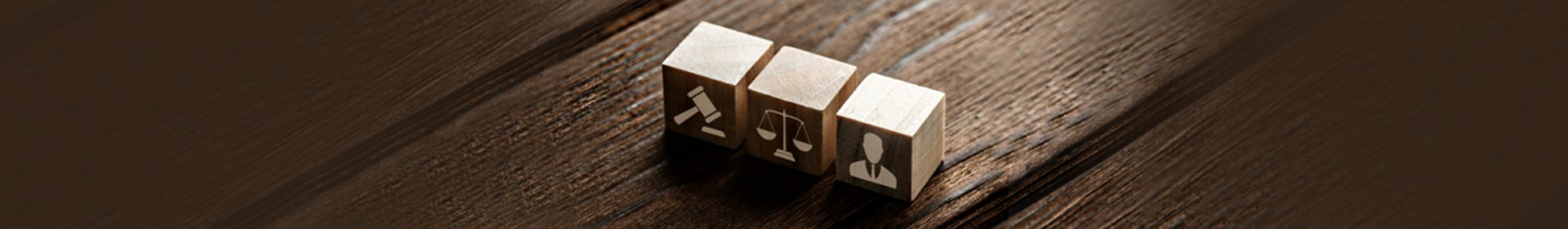 המחשה ללימודי משפטים