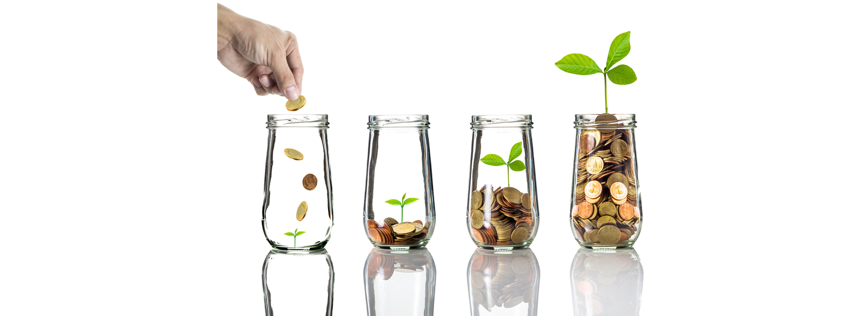 מלגות חיצוניות