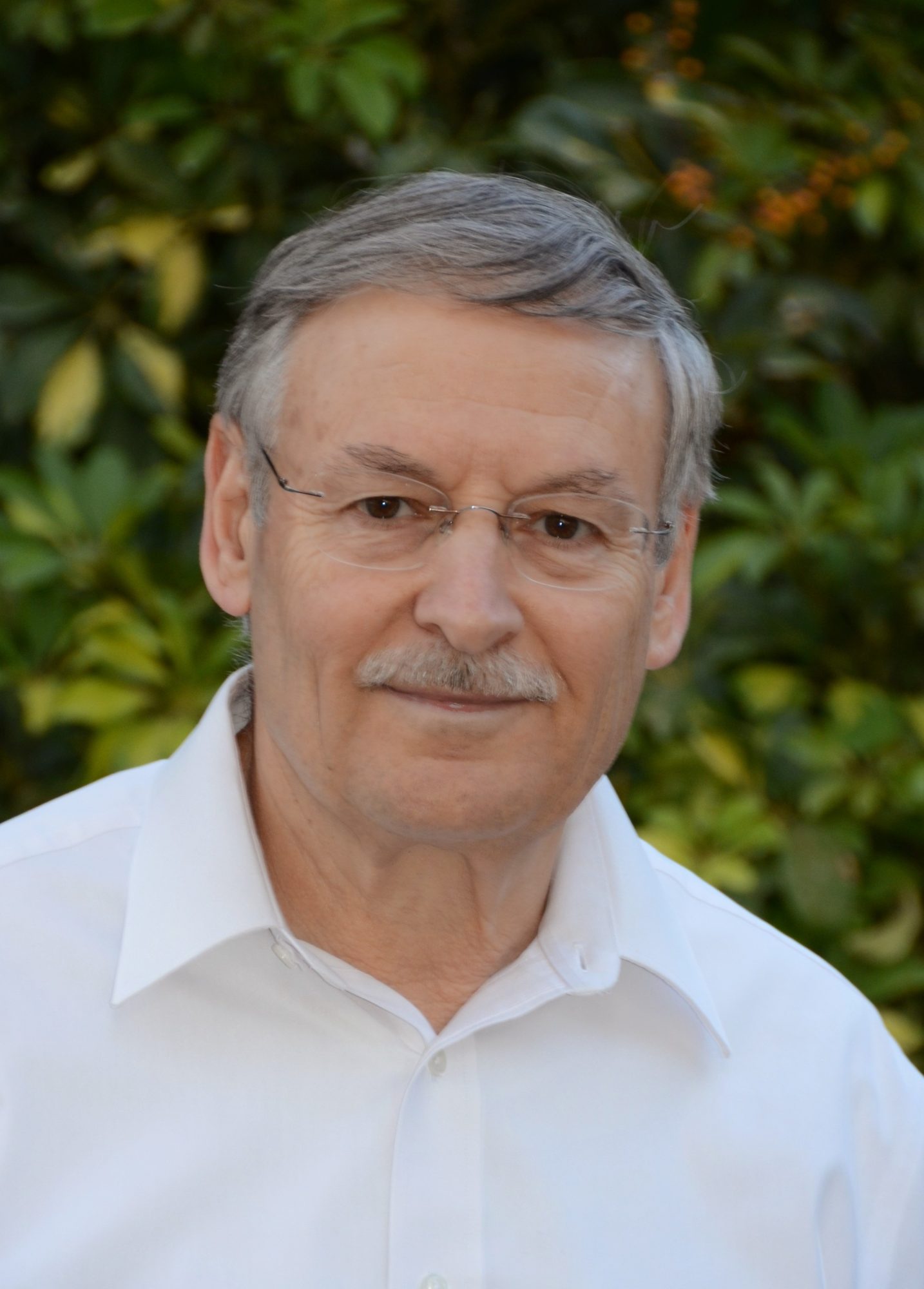 תמונה של פרופ טל