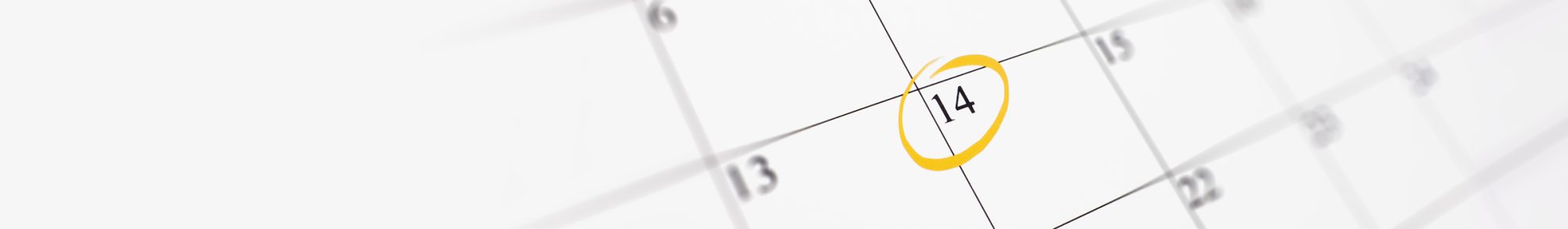 אנחנו לא צריכים יום פתוח,