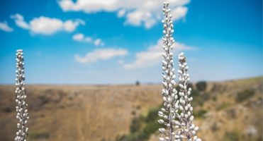 ניוזלטר ספטמבר 2021